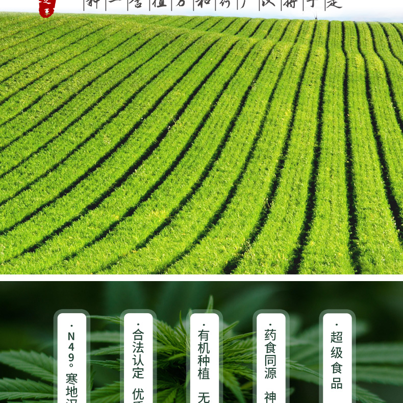 汉麻仁—便携装_08.jpg