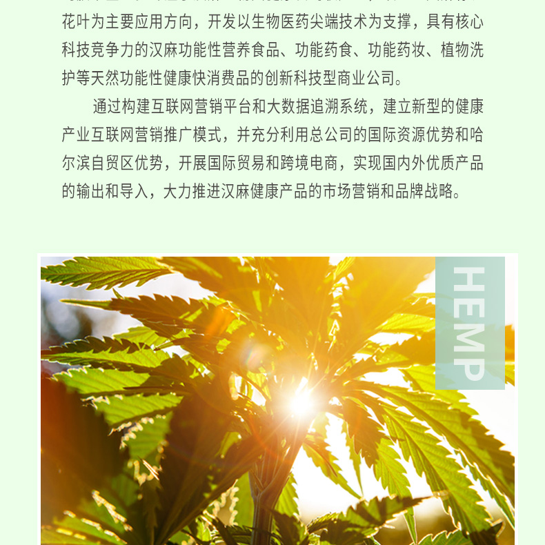 汉麻仁—便携装_11.jpg