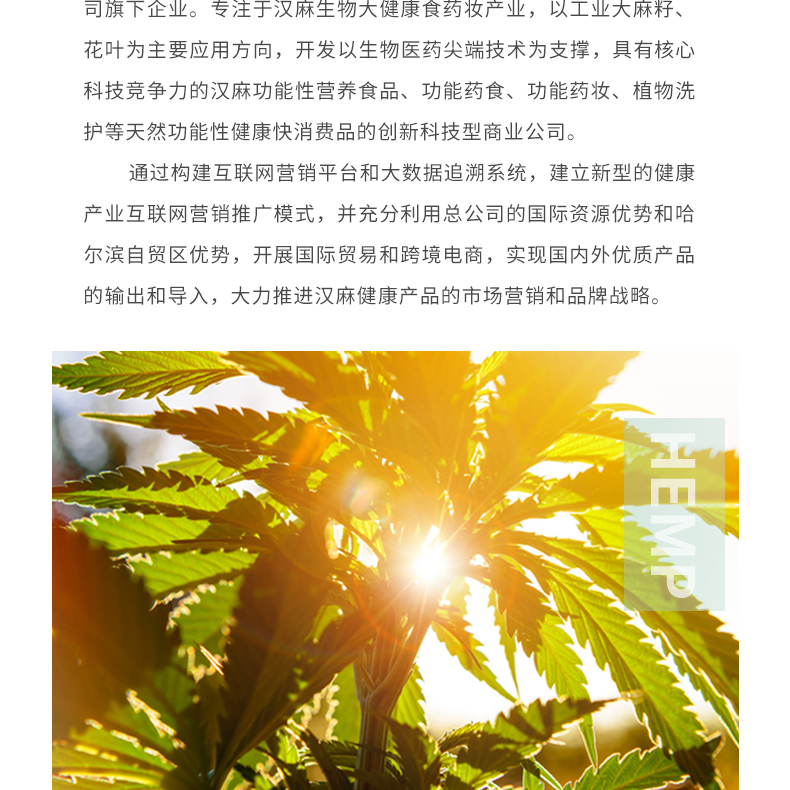 丝巾详情-灰腊0521_17.jpg
